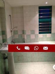 Celadon View (D17), Apartment #168785612